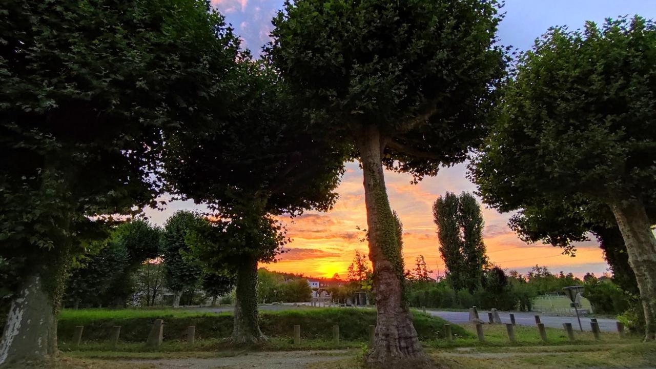 Aux Trois Rois Hotel Pont-Sur-Yonne Buitenkant foto